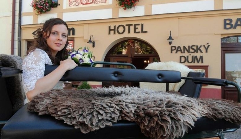 Hotel PANSKÝ DŮM  Nové Město na Moravě